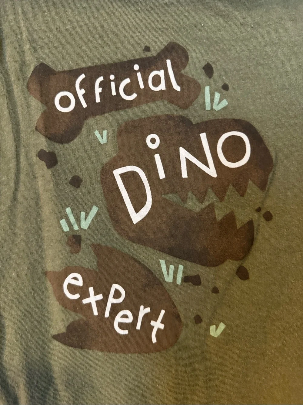 Old Navy Official Dino Expert Green Kids T-Shirt